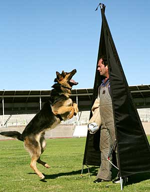 Dave with Ajax, hold and bark